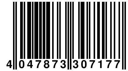 4 047873 307177