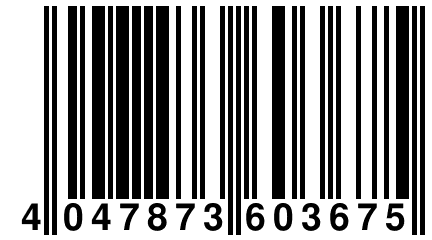 4 047873 603675