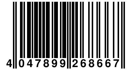 4 047899 268667