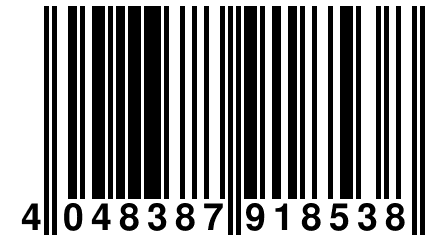 4 048387 918538