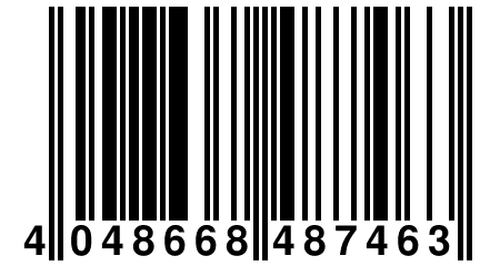4 048668 487463