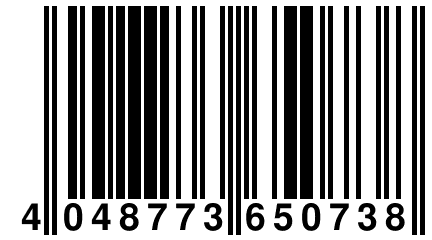 4 048773 650738