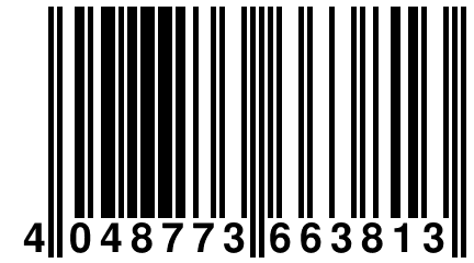 4 048773 663813