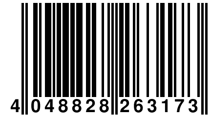 4 048828 263173