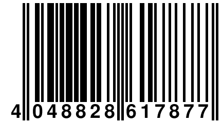 4 048828 617877
