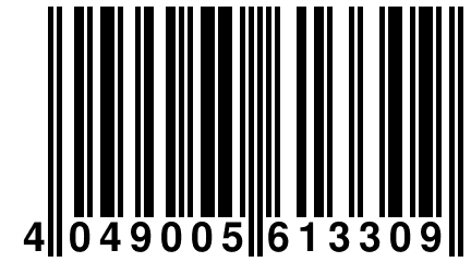 4 049005 613309