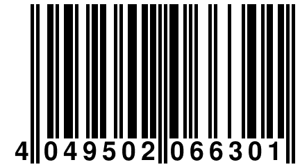 4 049502 066301