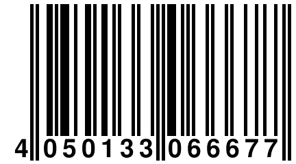 4 050133 066677
