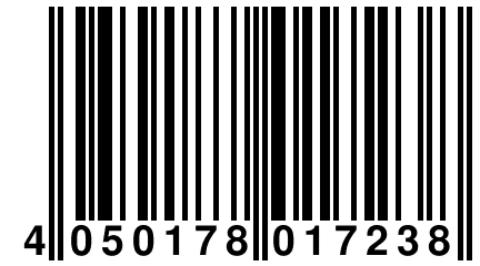 4 050178 017238
