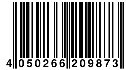 4 050266 209873