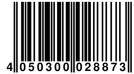 4 050300 028873