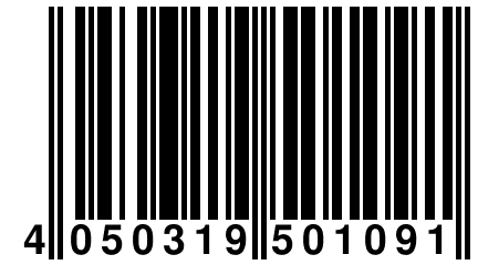 4 050319 501091