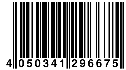 4 050341 296675