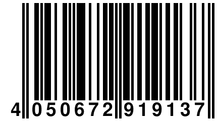4 050672 919137