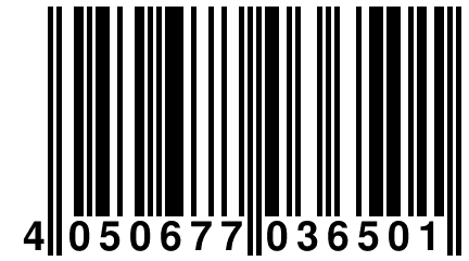 4 050677 036501