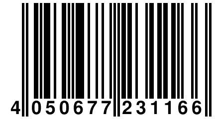 4 050677 231166