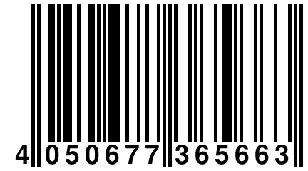4 050677 365663