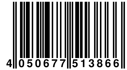 4 050677 513866