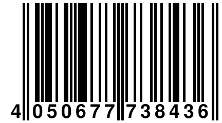 4 050677 738436