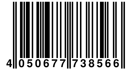 4 050677 738566