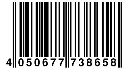 4 050677 738658