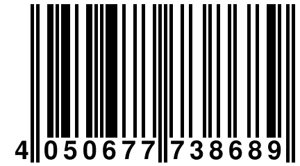 4 050677 738689