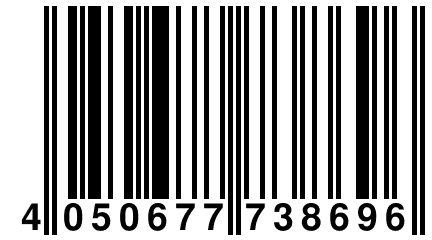 4 050677 738696