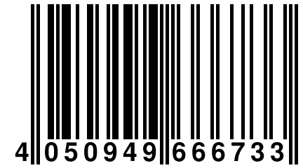 4 050949 666733