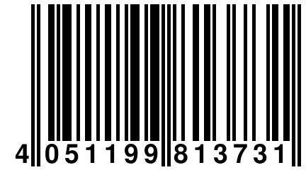 4 051199 813731