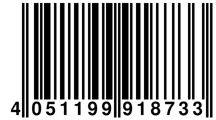 4 051199 918733