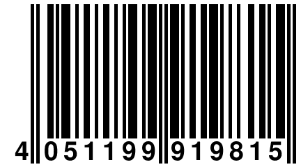 4 051199 919815