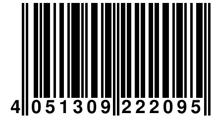 4 051309 222095