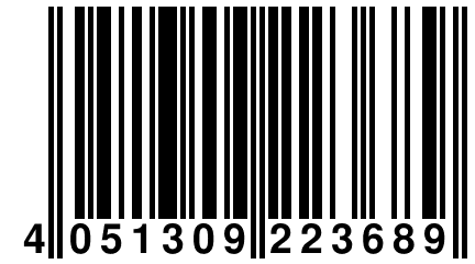 4 051309 223689