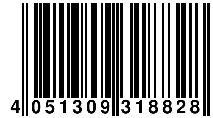 4 051309 318828