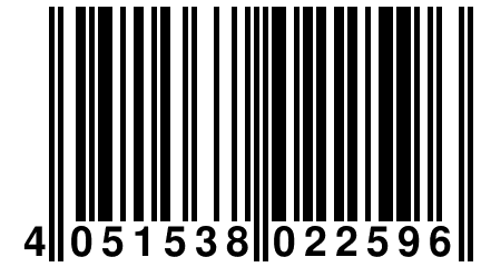 4 051538 022596