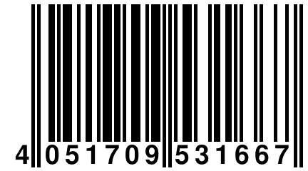 4 051709 531667