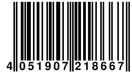 4 051907 218667