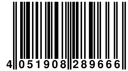 4 051908 289666