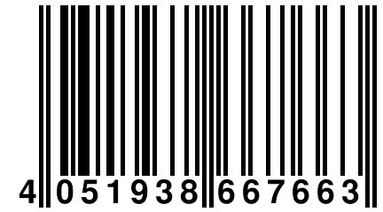 4 051938 667663
