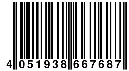 4 051938 667687