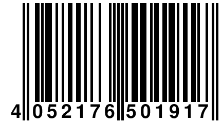 4 052176 501917
