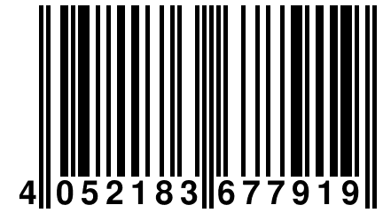 4 052183 677919