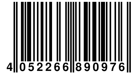 4 052266 890976