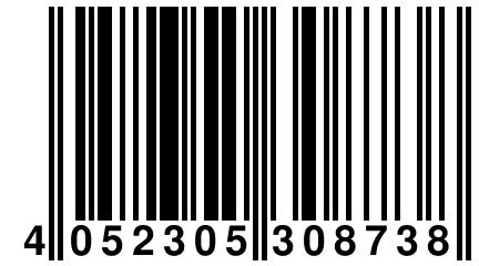 4 052305 308738