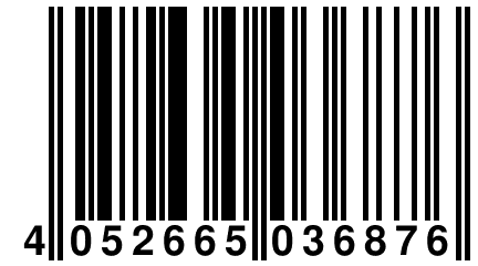4 052665 036876