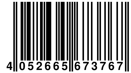 4 052665 673767