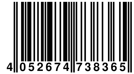 4 052674 738365