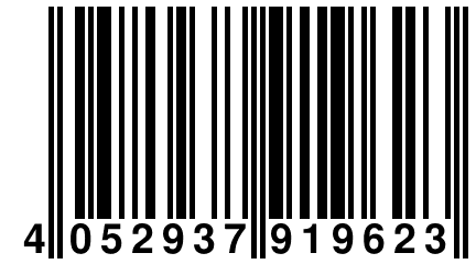 4 052937 919623
