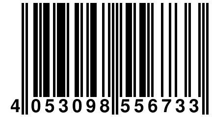 4 053098 556733