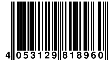 4 053129 818960